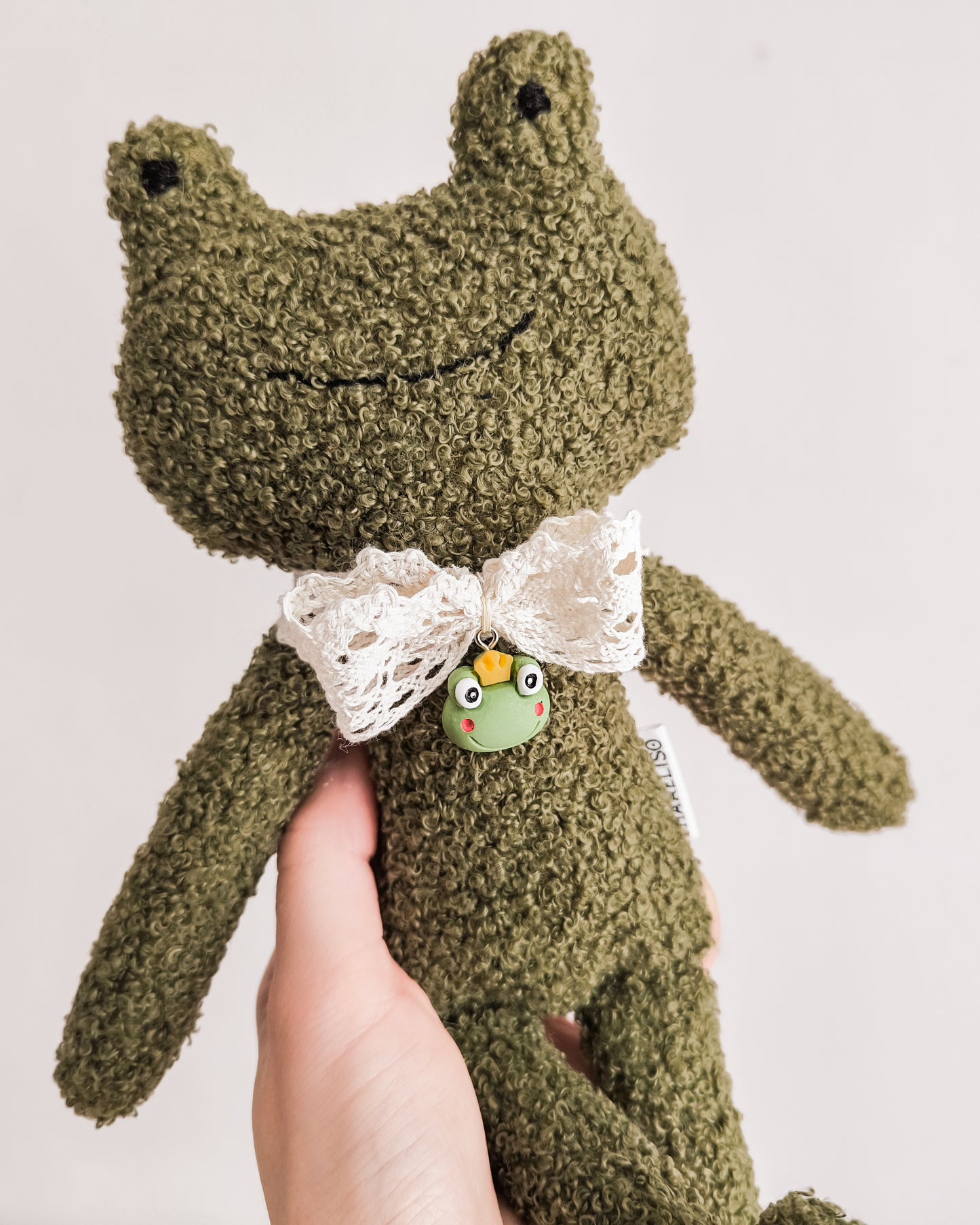Mr. Frog
